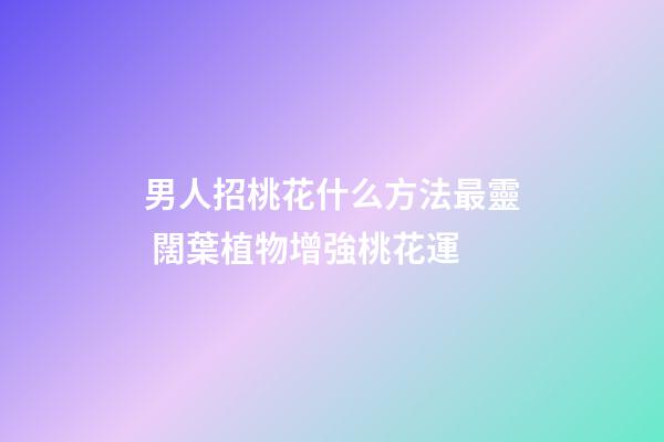 男人招桃花什么方法最靈 闊葉植物增強桃花運